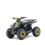 ATV electric 1000W, Naples e-POWER cu diferential si direct drive 2 - motocross, enduro, ATV ATV electric 1000W