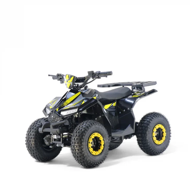 ATV electric 1000W