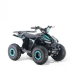 ATV electric 1000W, Naples e-POWER cu diferential si direct drive 1 - motocross, enduro, ATV ATV electric 1000W