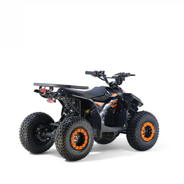 ATV electric 1000W ATV electric 1000W