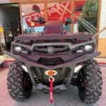 ATV AODES Pathcross 650, 4x4 V-TWIN cu EPS, gama Premium 1 - motocross, enduro, ATV ATV AODES Pathcross 650