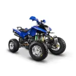 ATV Barton Warrior 250cc 1 - motocross, enduro, ATV Barton Warrior 250 1 - motocross, enduro, ATV