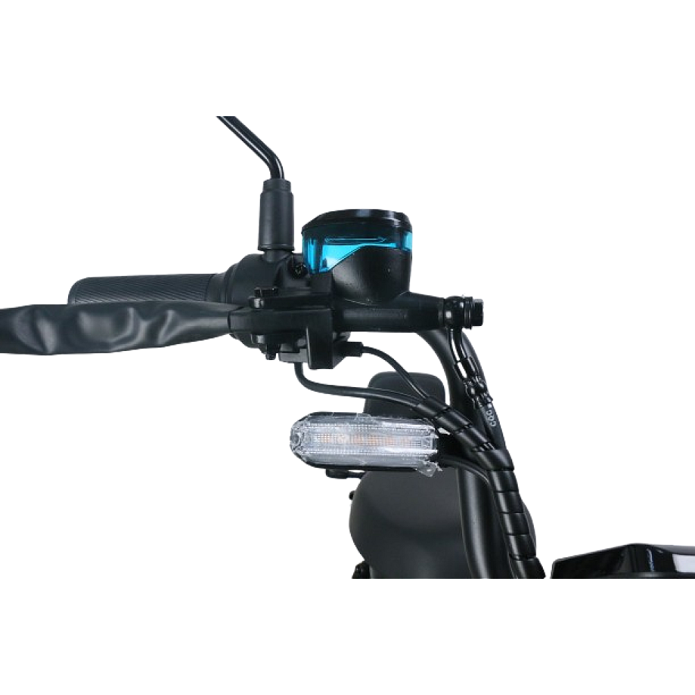 Scuter Electric 600W ROMA (1) Scuter Electric 600W ROMA (1)